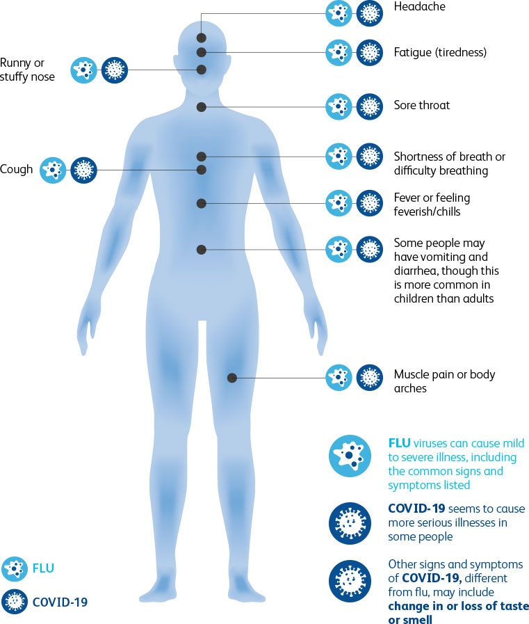 Schema of common symptoms of Flu and COVID-19